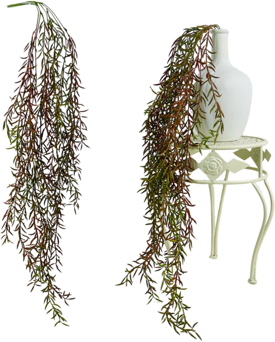Inspiruj Asparagus Zwis - Kunstplant - Groen en Bruin - Real Touch - 100 cm Groen;Bruin