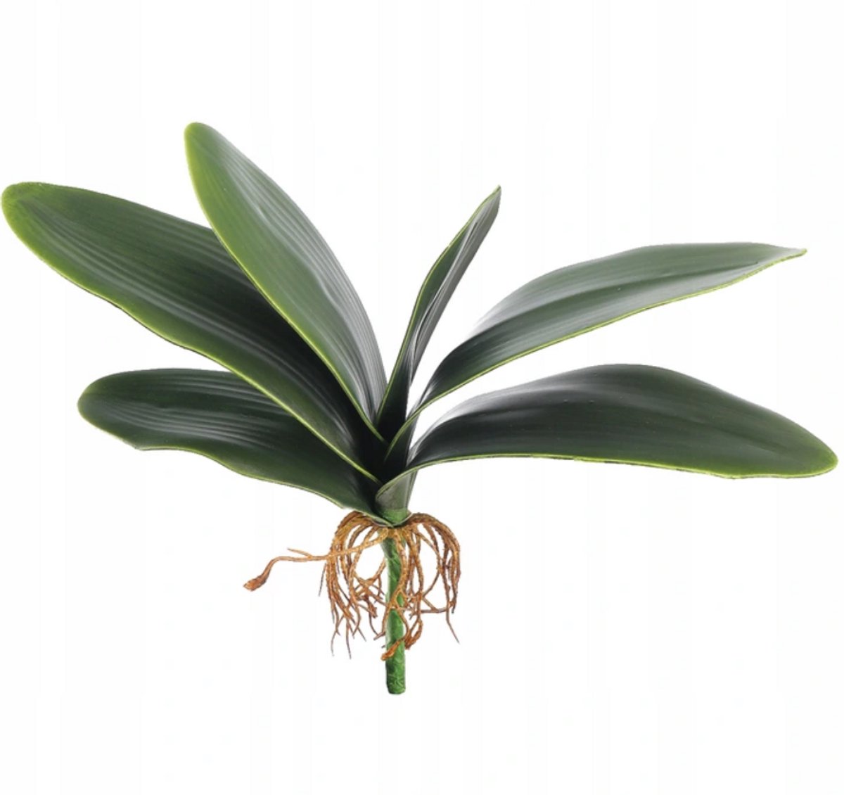 Inspiruj - Kunstplant Orchidee - Rubberbladeren - 31cm - Met Wortels