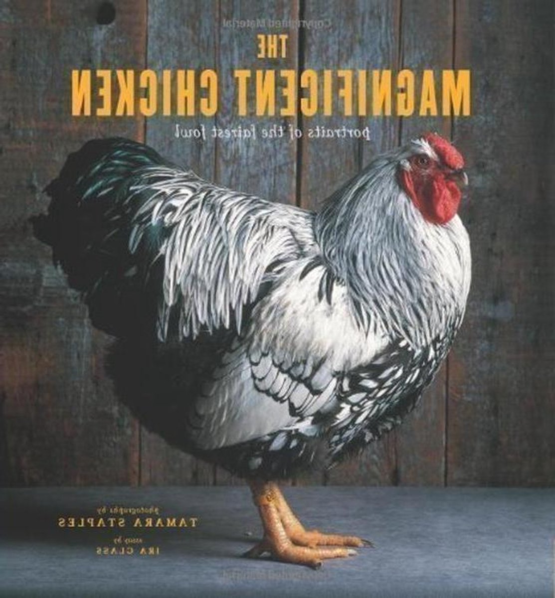 Magnificent Chicken - Kippenboek - Kippen Houden - Geïllustreerde Gids - Hardcover - Niet gespecificeerd