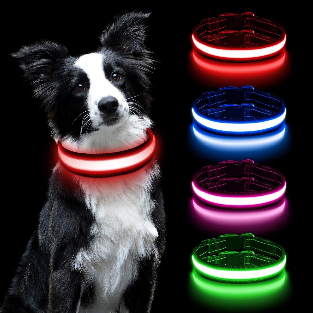 Vt products - Lichtgevende Halsband - USB Oplaadbaar - Veiligheidshalsband - Rood - Waterdicht - LED-lamp - Geschikt voor honden - Medium