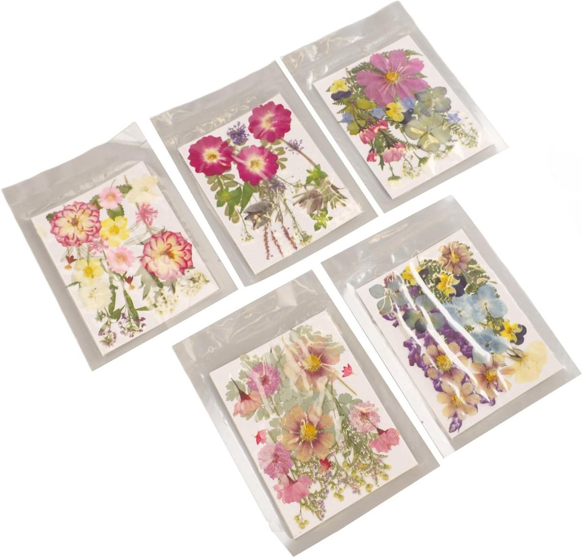 100 Stuks Gedroogde Bloemen voor Resin, Diverse Stijlen voor Scrapbooking en Kaarten Maken