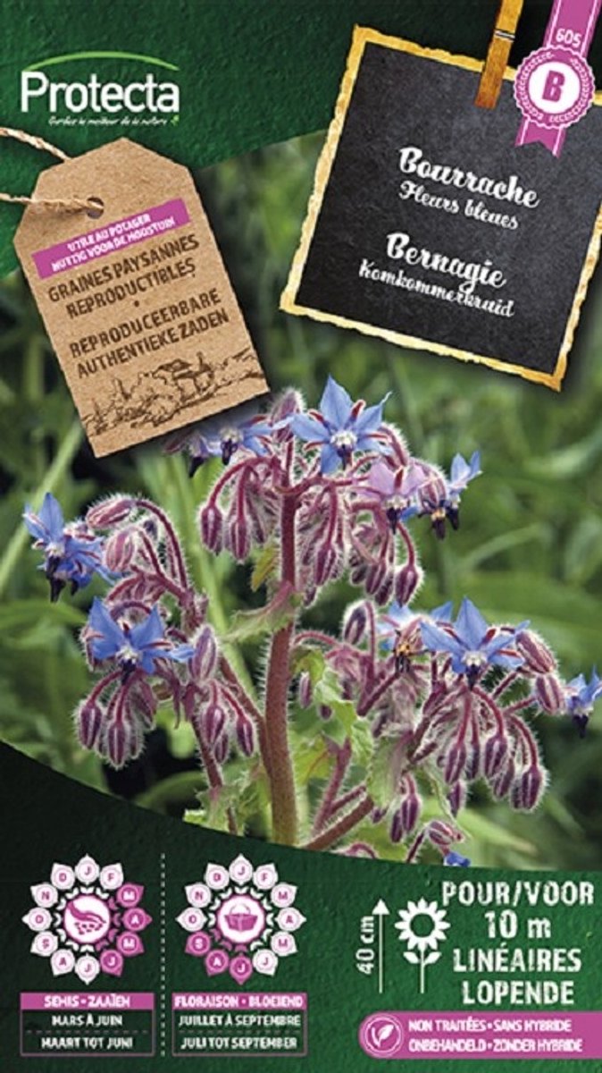 Protecta Kruiden zaden: Bernagie (Komkommerkruid)