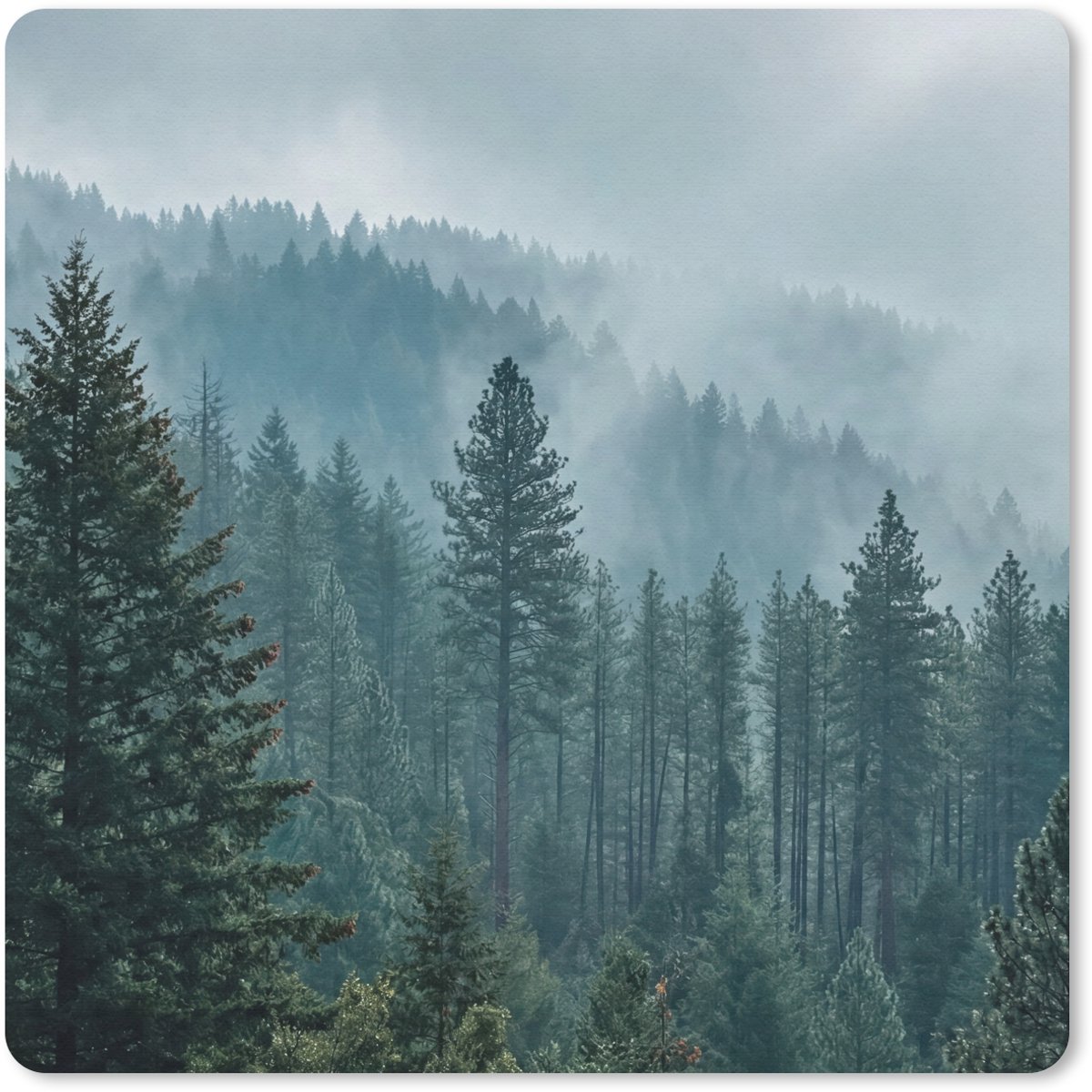 Muismat 20x20 cm - Mousepad Naaldwoud - Bergen - Mist - Muismatten