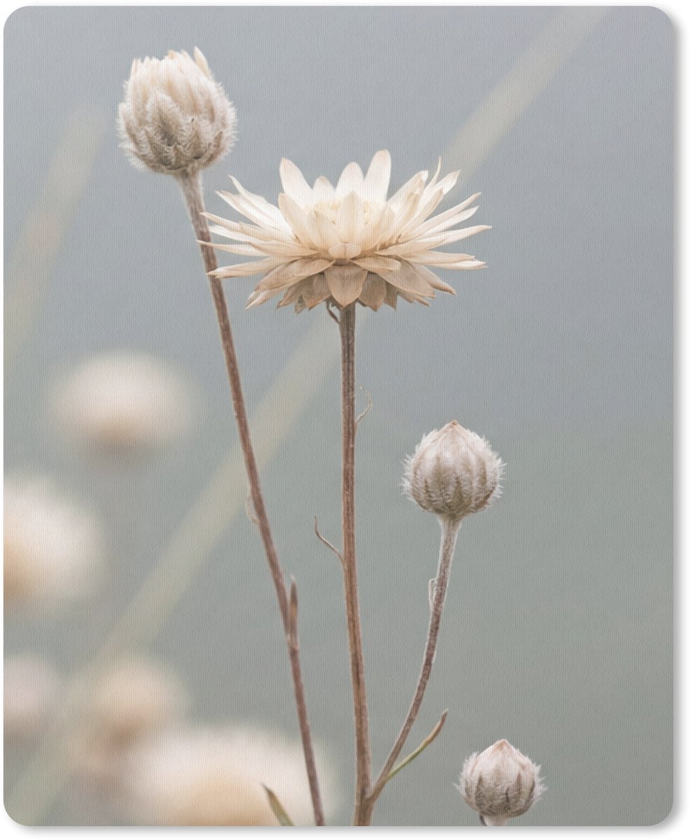 Muismat 12x16 cm - Mousepad Strobloemen - Wit - Daglicht - Muismatten