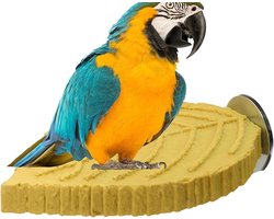 Zitstang voor vogels - Speelgoed parkiet Vogelaccessoire - Nagels vijlen - Realistische plantvorm - 14 x 9.5 cm - Geel