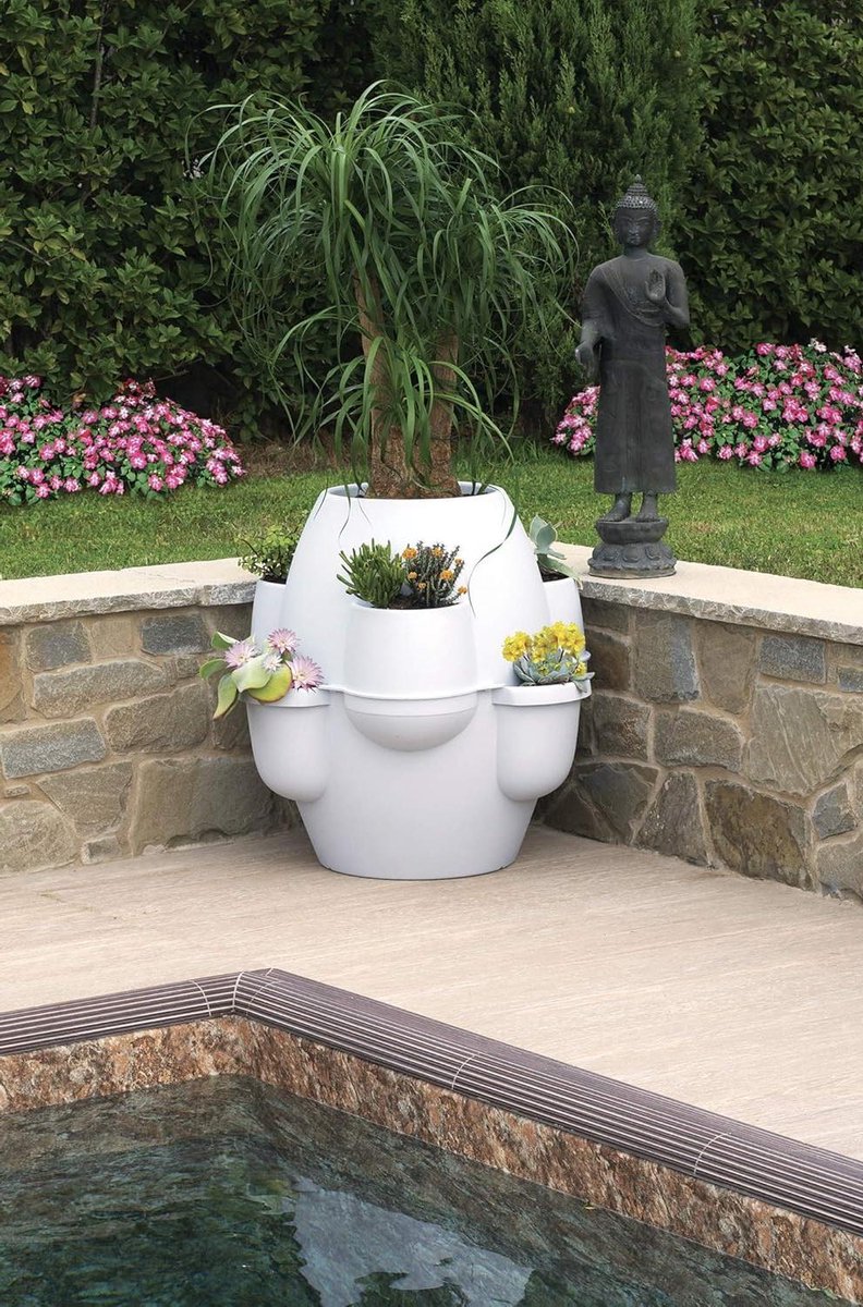 Bloemkoppen Oasis - Planteninzetstuk Bak - Planten Verzorgen - Uv-bestendig - 31001 - IJs