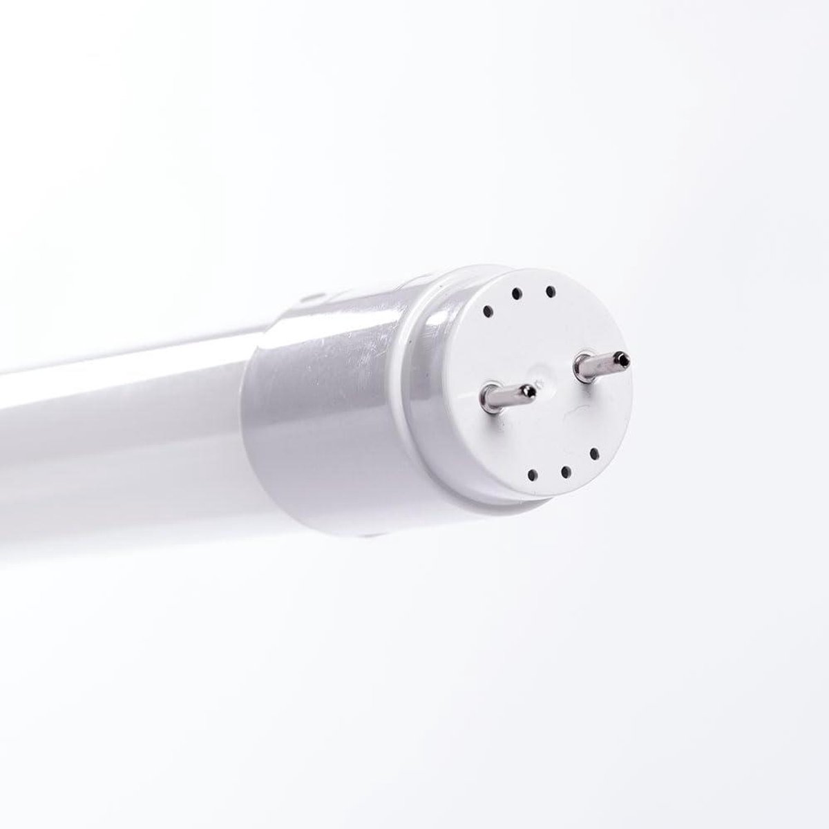 LED-buis T8 - TL buis - Verlichting binnenshuis - Directe netwerkaansluiting - 150 cm - Koud wit