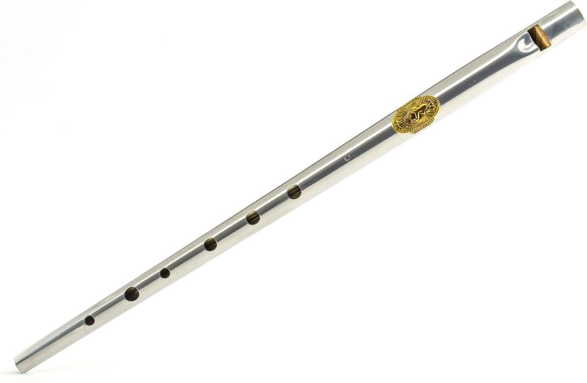 Tinwhistle Instrument - Folk Fluit - Muziek Maken - Historisch Geluid - Toon D - Zilver Goud