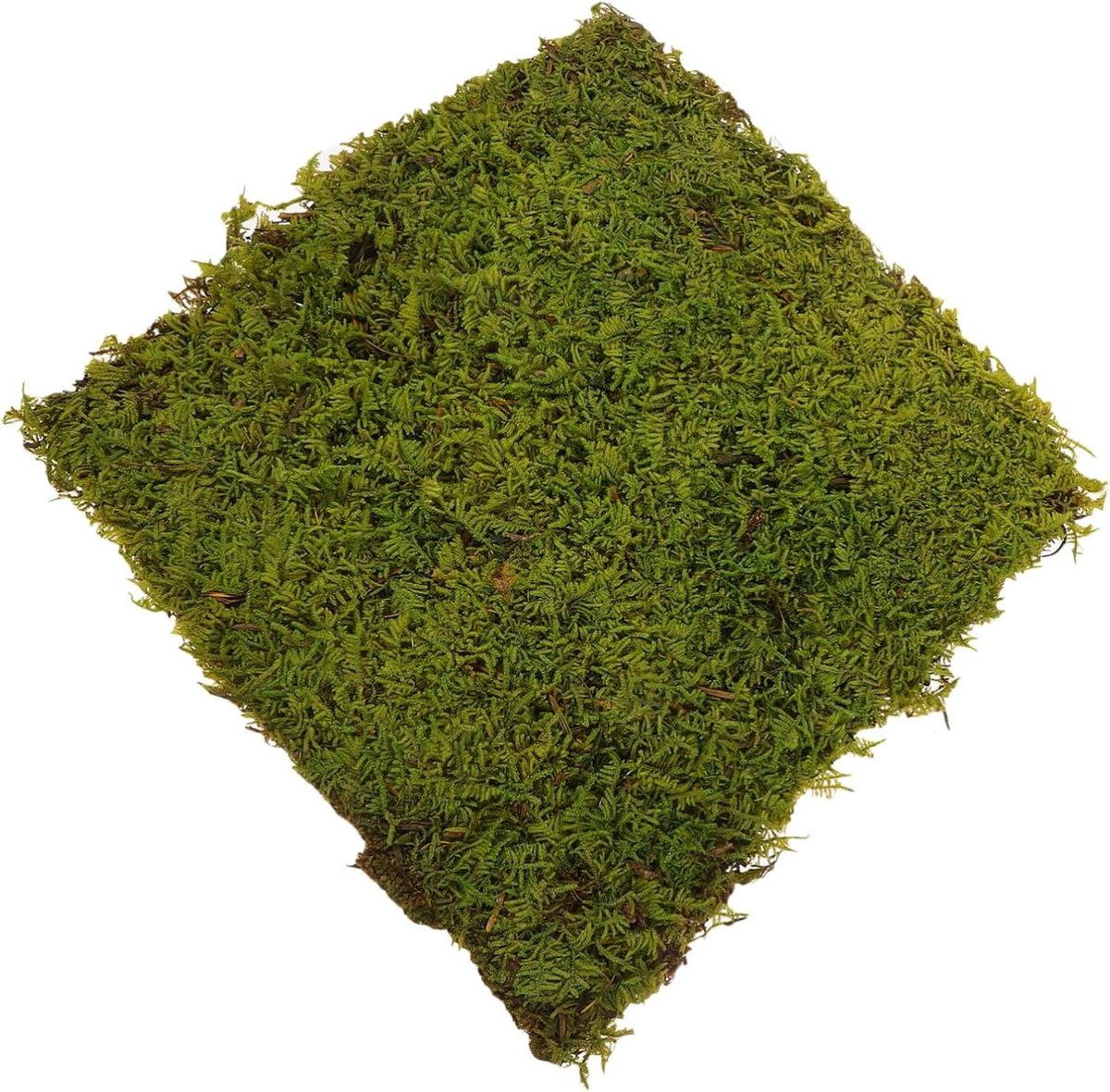 Kunstgras Mat - Nepgras Tapijt - Hobby Projecten - Realistische Simulatie - 30 x 30 cm - Groen