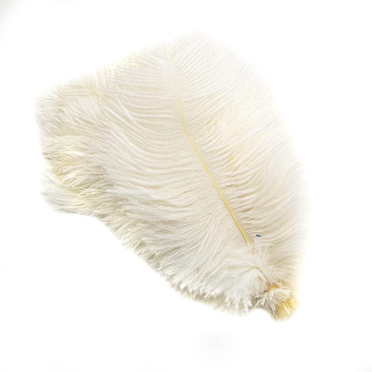 Pakket met 10 Natuurlijke Struisvogelveren van 25 - 30 cm voor Creatieve Projecten, DIY Dromenvangers, Feestdecoratie en Kostuums