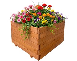 IvoQ Houten Plantenbak voor Buiten - Vierkant 60x60x45 cm - Massief FSC Vurenhout - Weerbestendige Bloembak Tuin & Terras