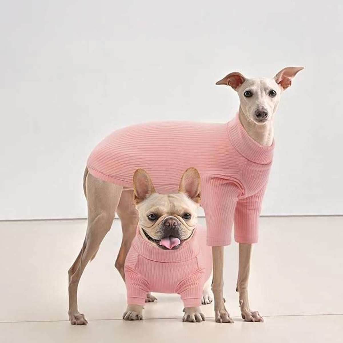 CE Serie - Hond Pyjama - XS - Lang Mouwen - Roze