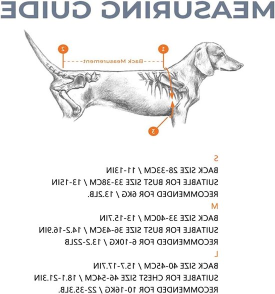 Steunband voor honden met artritis en IVDD, rugondersteuning voor herstel, pijnverlichting en comfort — afbeelding 3