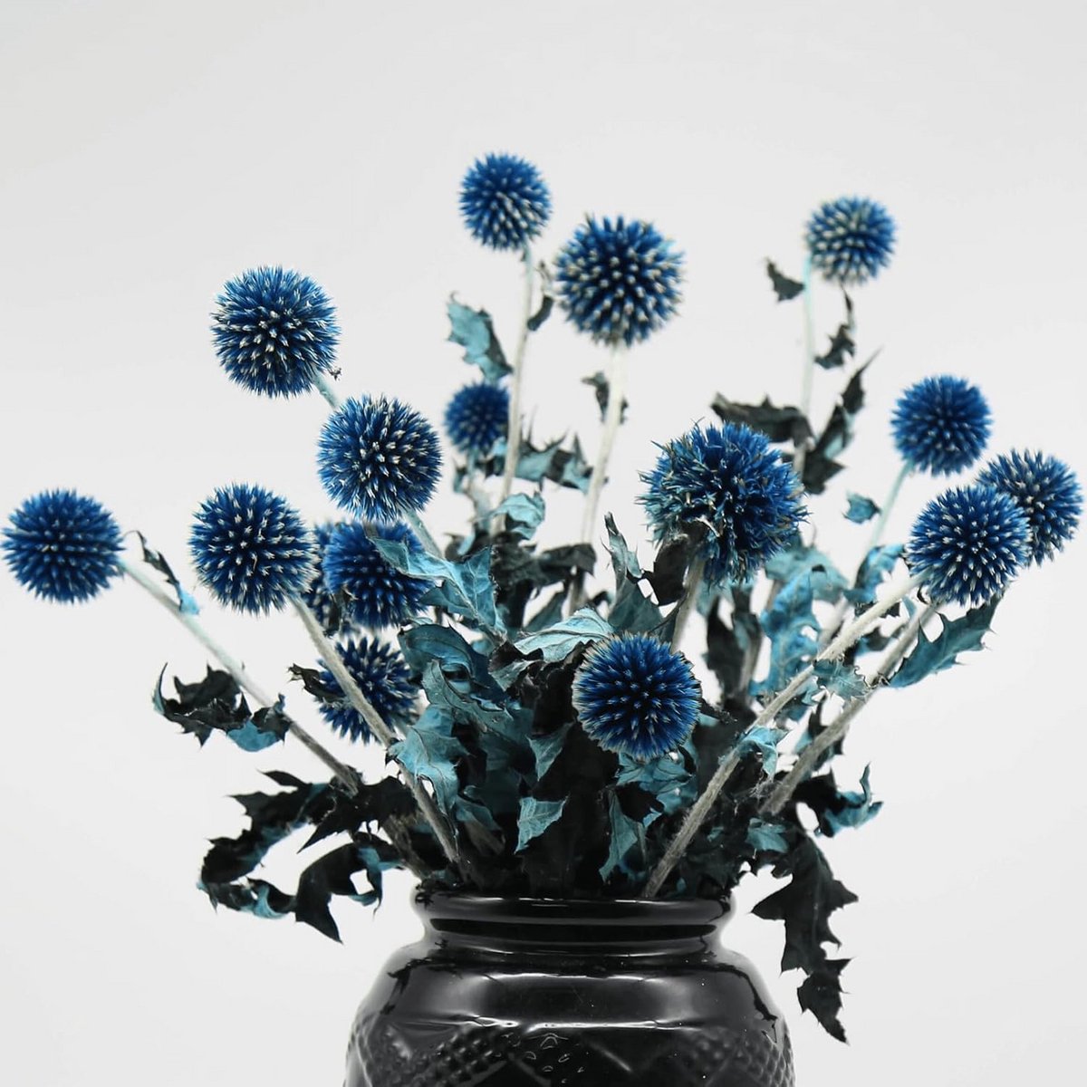 Gedroogde Distel Bloemen - Geconserveerde Echinops - Woondecoratie - Unieke Blauwe Kleur - 38 cm - Blauw