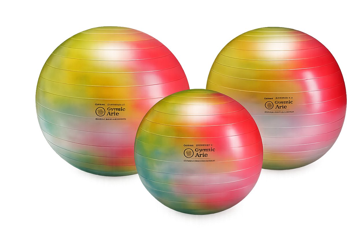 Sundo Fitnessbal 65 cm - Multikleur
