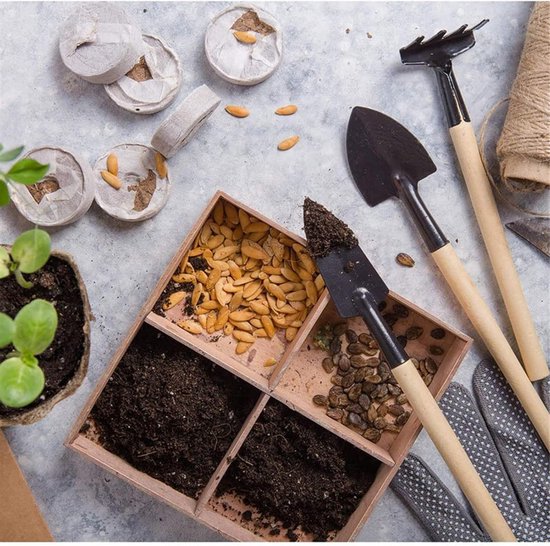 Dailygoods - Bonsai Gereedschapsset - 12 Stuks Mini Tuin Verplantgereedschap van Dailygoods — afbeelding 3