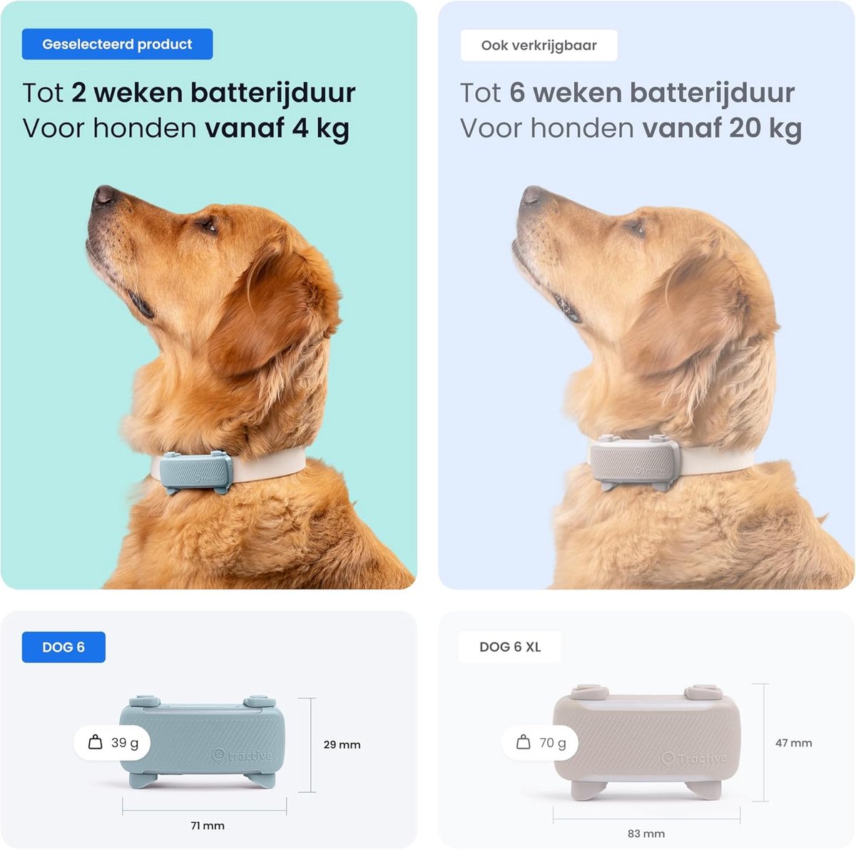 Tractive DOG 6 – GPS Tracker voor Honden - Real-Time Locatie, Activiteitenmonitor & Waterdicht - Past op Meeste Halsbanden – Munt thumbnail 2