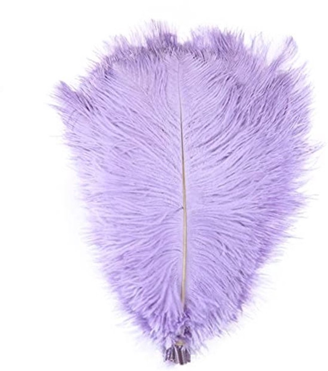 Ostrich Veertjes 10 Stuks - 25-30 cm - Natuurlijke Pluimen voor Creatief Knutselen