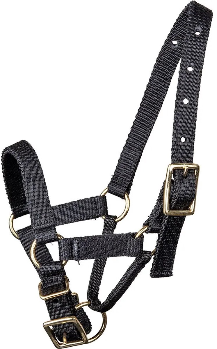 Alpaca Halster | L