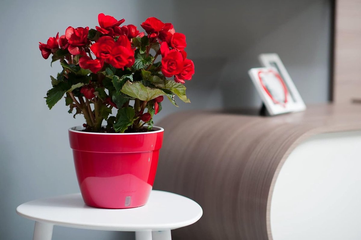 Zelfbewaterende Bloempot - Pot met Waterindicator - Planten Verzorgen - Waterniveau Zichtbaar - 23.5 cm Diameter - Antraciet Wit — cadeau in Wonen & Interieur - foto 6