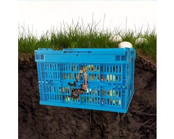 Wormenbak Compost - Compostbak Tuin - Afval Verwerken - Opvouwbaar Ontwerp - 6 Gallon - Blauw