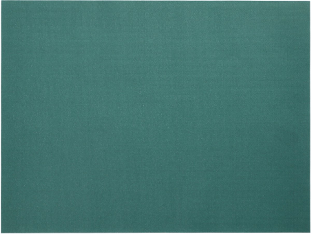 10x 100 Placemats papier 30 cm x 40 cm groen