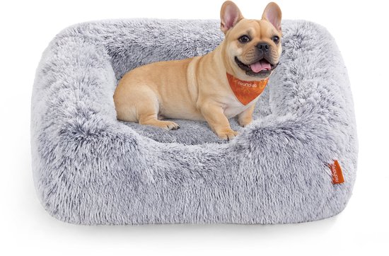 Lichtbruine Franse Bulldog in een pluche grijze hondenmand met verhoogde randen.