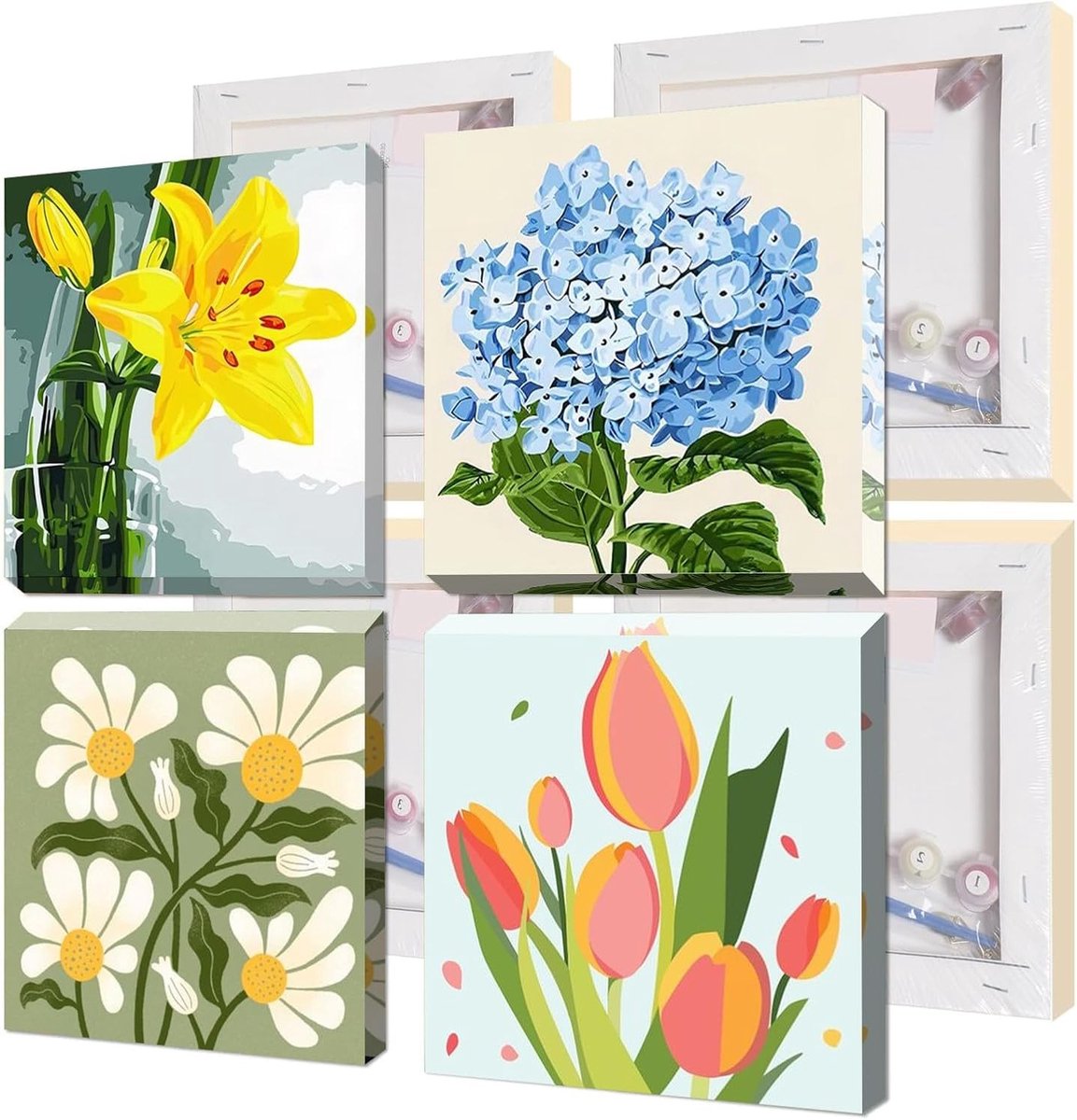 Framed Paint by Numbers voor Beginners, 4 Stuks Bloemen Schilderen op Canvas, DIY Acryl en Olieverf Kits voor Volwassenen