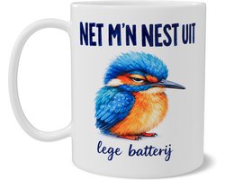 Kleurrijke Mok met Baby IJsvogel - Grappige Tekst Net M'n Nest Uit Lege Batterij - Aquarel Illustratie Vogel - Origineel Cadeau voor Kantoor en Thuiswerkplek - Beker met Dubbelzijdige Print