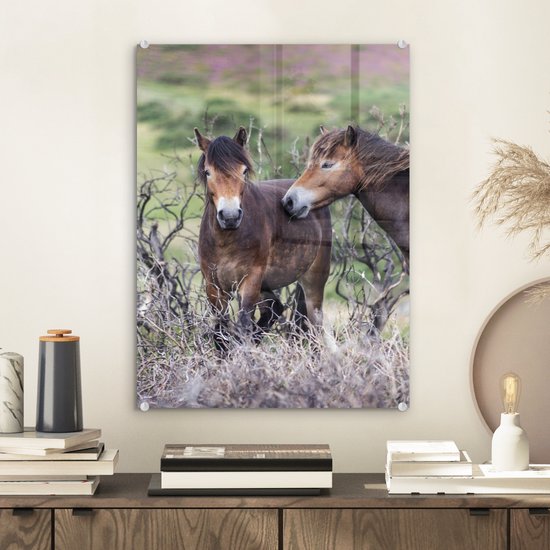 ® Glasschilderij 30x40 cm - Schilderij acrylglas - Paarden in het Nationaal park Exmoor in Engeland - Foto op glas - Muurdecoratie woonkamer - Wanddecoratie slaapkamer - Schilderijen