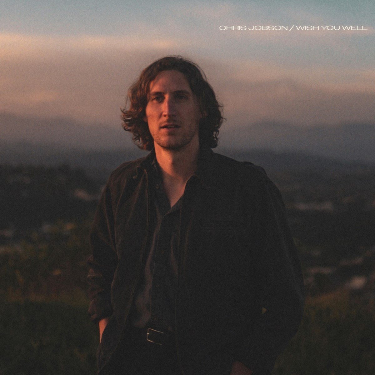 Jobson, Chris - Wish You Well (LP)