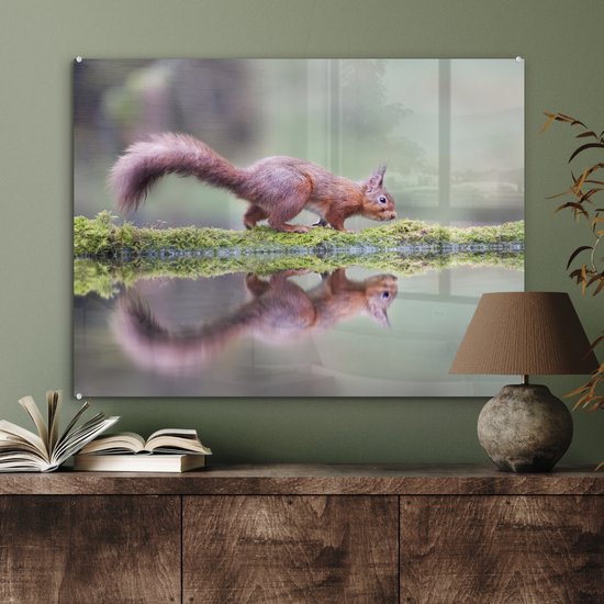 Peinture sur Verre - Écureuil - Mousse - Water - Reflet - 80x60 cm - Peintures sur Verre Acrylique - Photo sur Glas