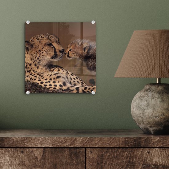 ® Glasschilderij 20x20 cm - Schilderij acrylglas - Cheeta moeder en welp - Foto op glas - Muurdecoratie woonkamer - Wanddecoratie slaapkamer - Schilderijen