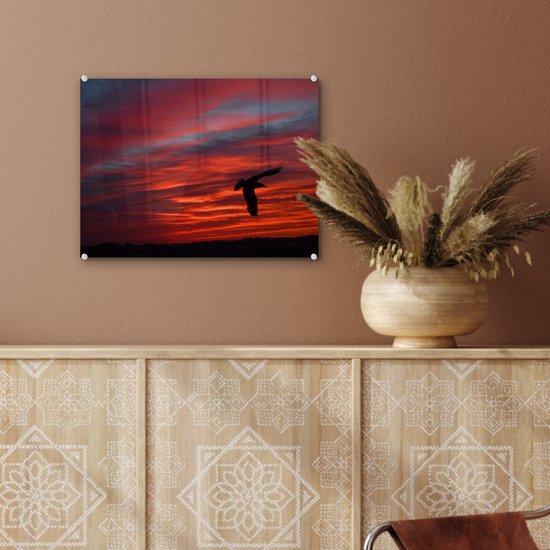 ® Glasschilderij 40x30 cm - Schilderij acrylglas - Silhouet van een stormmeeuw - Foto op glas - Muurdecoratie woonkamer - Wanddecoratie slaapkamer - Schilderijen