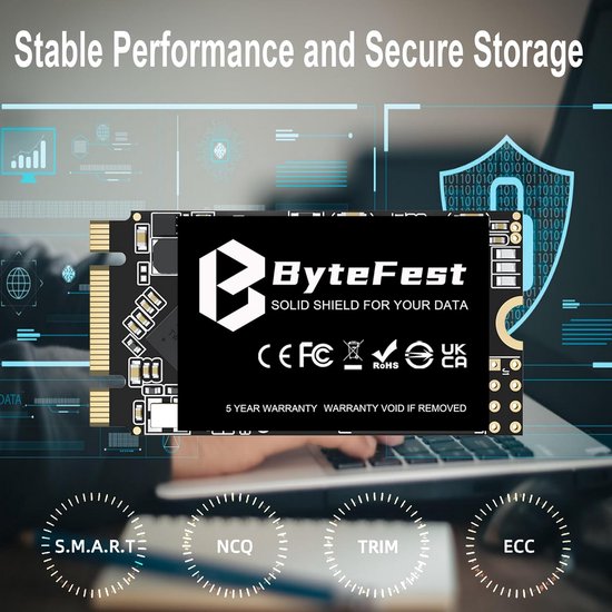 Interne SSD M.2 2242 256GB NGFF SATA III 6Gb/s voor Laptop en Desktop Upgrade — afbeelding 5