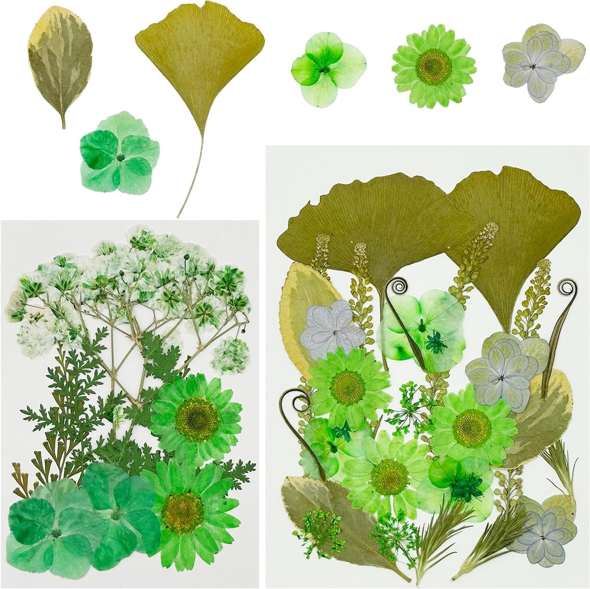 40 Stuks Natuurlijke Gedroogde Bloemen en Groene Bladeren voor Resin, Scrapbooking en Epoxy Sieraden
