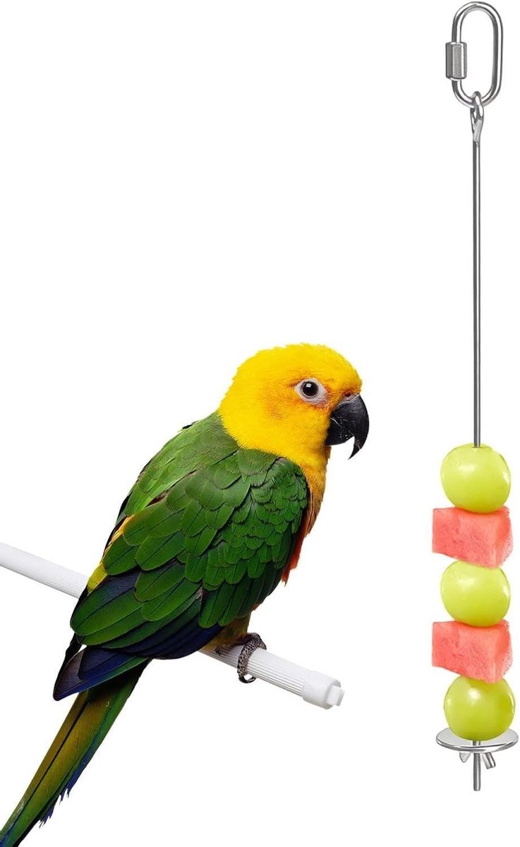 Vogel Voedselspies - Fruithouder Kooi - Vogels Voeden - Energieverbruikend Foerageren - 6.9L x 3.6W cm - Zilverkleurig