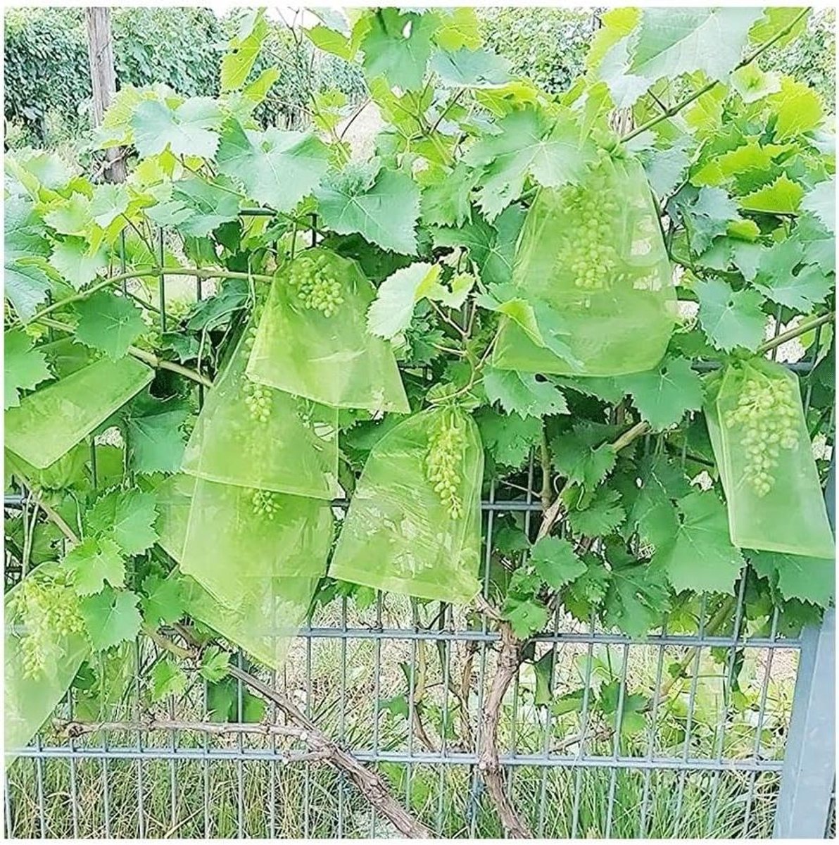 Beschermzakken Fruit - Netzakken Groente - Planten Beschermen - Ademend Organza Mesh - 30x20CM 50 Stuks - One Color