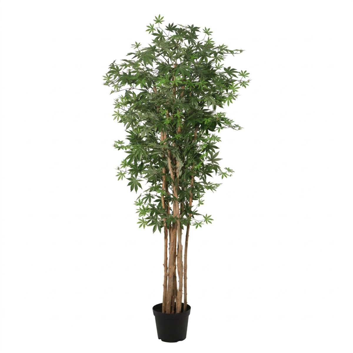 Florafy Kunstplant Japanse Esdoorn 180cm - Kunstplanten voor binnen - Onderhoudsvrij Groen