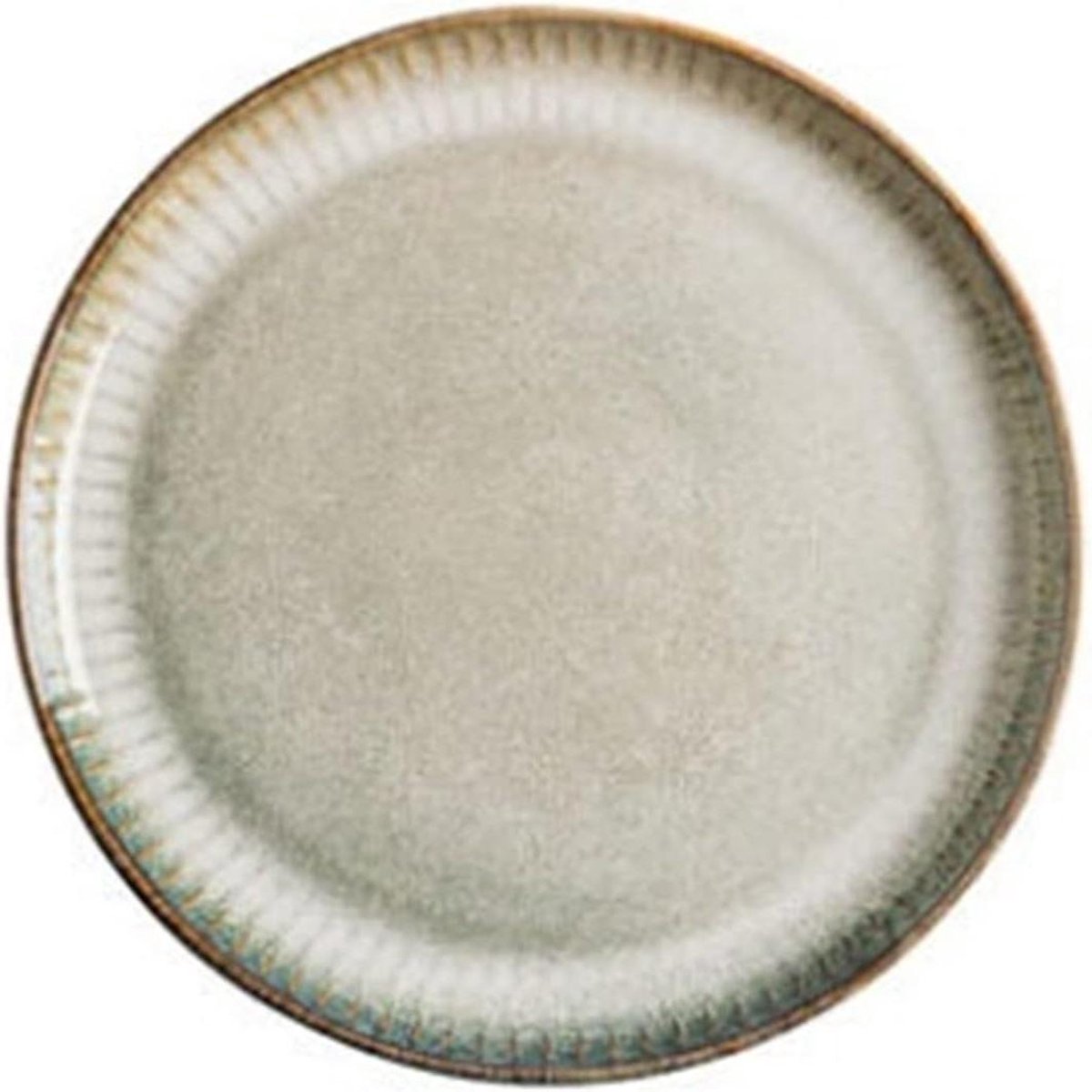 Dinerborden - Eetborden Servies - Dagelijks Gebruik - Vaatwasser Magnetron Ovenbestendig - 21.8CM - Grijs