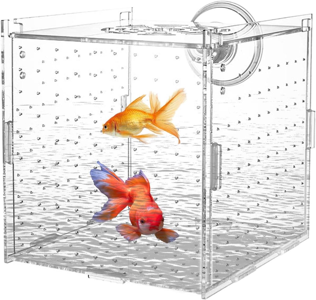 Aquarium Kweekbak - Vis Isolatie Box - Vissen Kweken - Stabiele Scheidingswand - 10 x 10 x 10 cm - Transparant