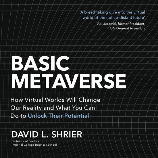 Basic Metaverse - cover