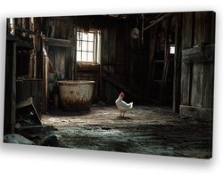 Foto: 