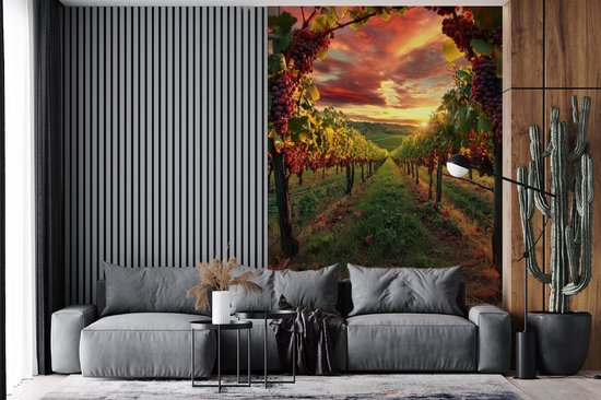 Behang - Fotobehang Wijngaard - Druiven - Zonsondergang - Breedte 200 cm x hoogte 300 cm
