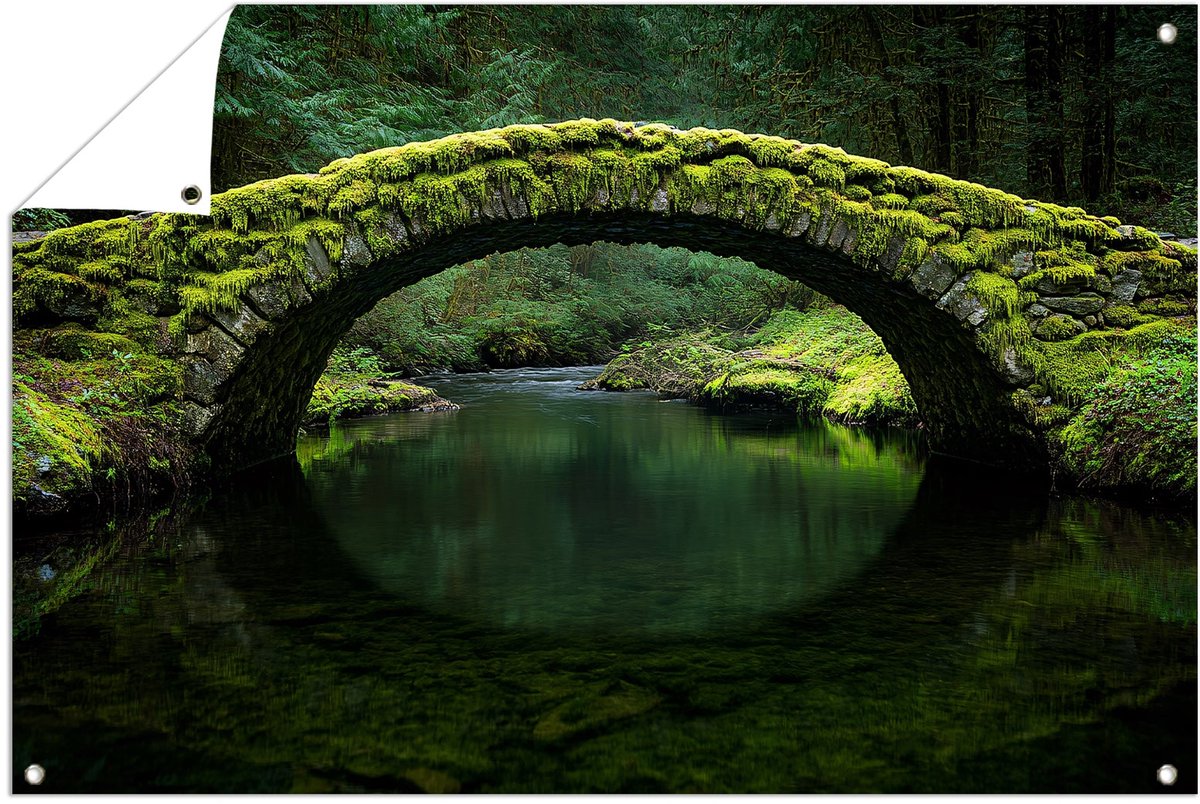 Mosrijke stenen brug over rivier - Brug poster - Tuinwanddecoratie architectuur - Realisti