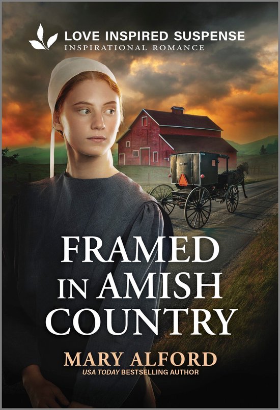 Framed in Amish Country - cover