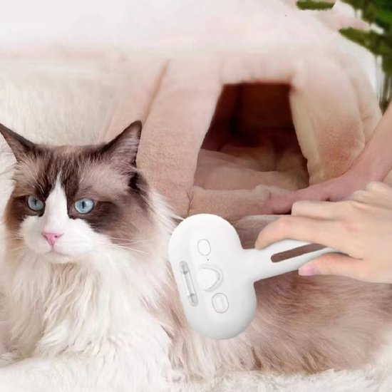 Persoon borstelt een Ragdoll kat met een witte stoomborstel.