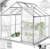Serre TecTake - serre de jardin avec fondation - 190x185x195 - 402472