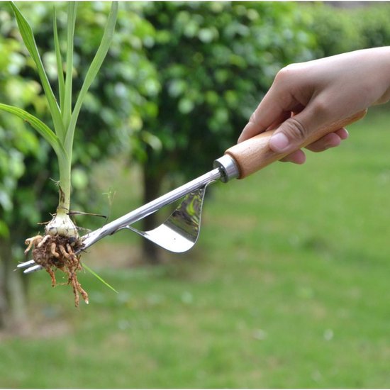 Onkruidverwijderaar van roestvrij staal - Wortelwiedmachine met houten handvat - Geschikt voor graven, wieden en losmaken van de grond Handmatige wiedmachine - Cadeau voor de tuinier - 31,5 x 1,7 cm van Xclou — afbeelding 4