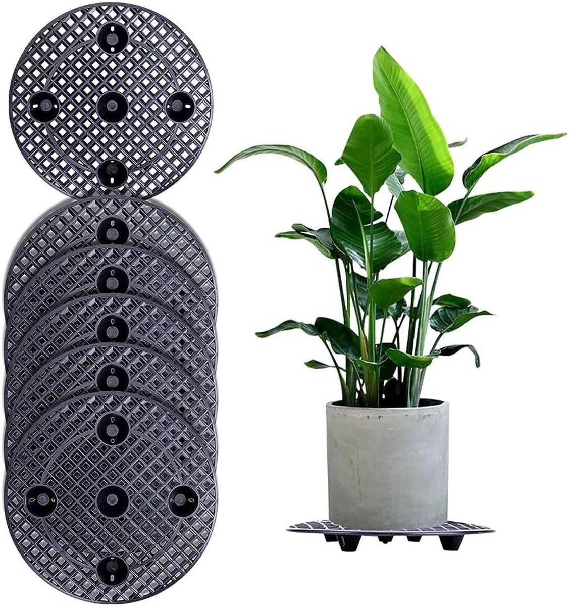 Ibenzoa® Duurzame Plantenstandaarden Set van Zes met Stabiele Basis – Perfect voor Terrassen en Interieurs